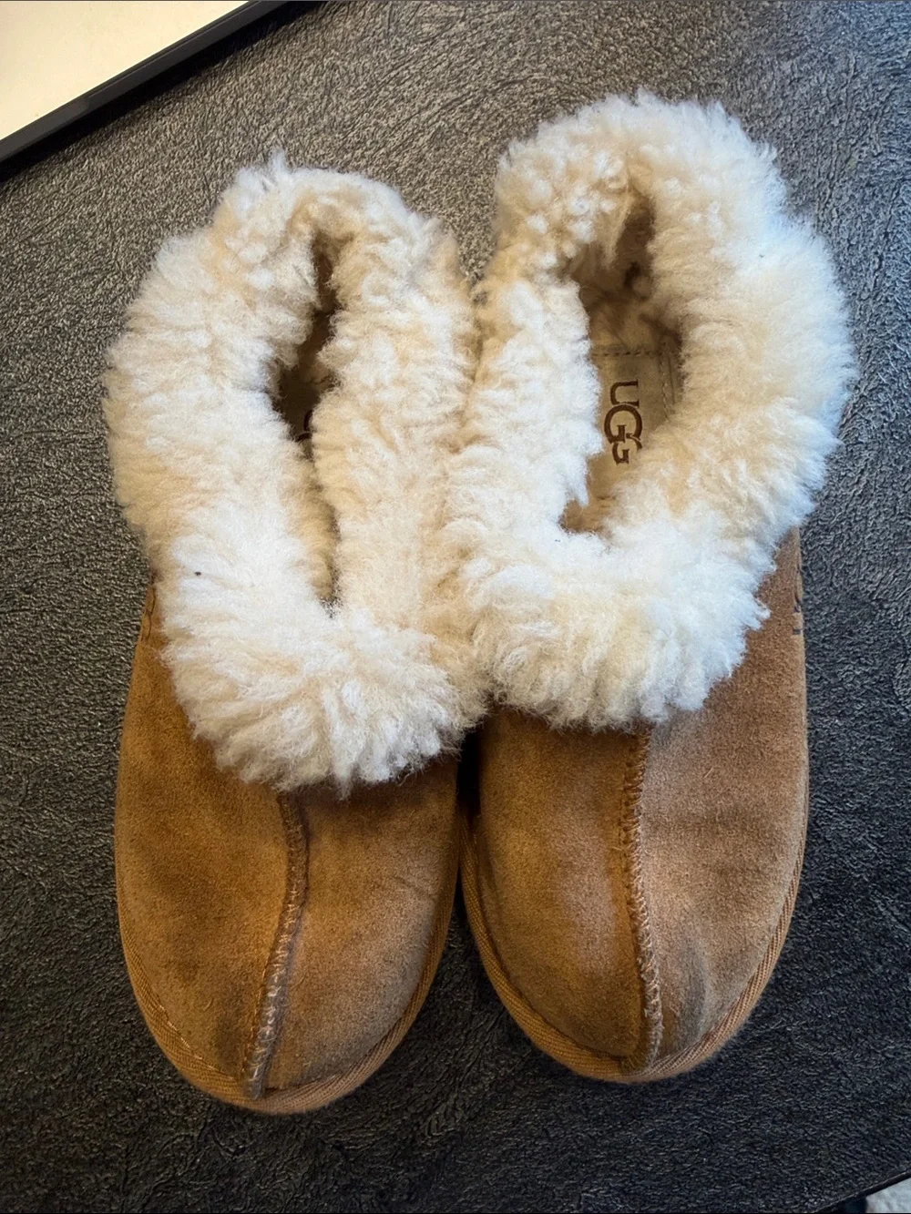UGG Women's Chestnut/Tan Sheepskin Clog Slipper